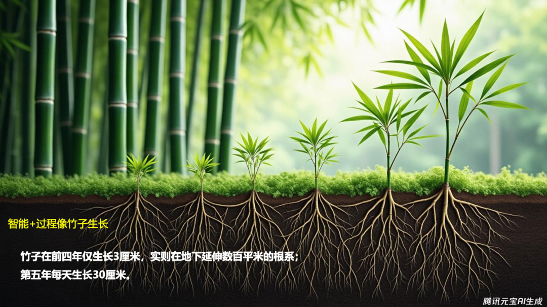 a234a95e821b1733605219ddf5ce31dc.png