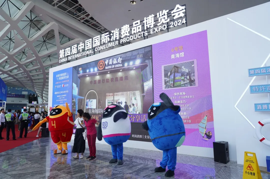 微信图片_20260115161731_548_137.png